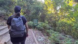 Hike from Constantia Nek to Kirstenbosch [upl. by Nivram]