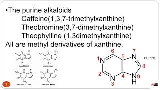 PHARMACOGNOSY  PURINE ALKALOIDS WITH TRICK [upl. by Genny]