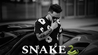 Snake  Cheema Y Official Video [upl. by Wivinah]