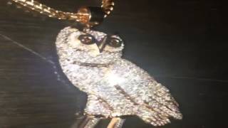 Drake Flexing On Instagram With His Custom OVO Owl Chain Best Chain In The Game [upl. by Ardussi70]