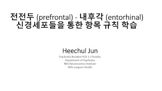 전전두 prefrontal  내후각 entorhinal 신경세포들을 통한 항목 규칙 학습 [upl. by Selegna]