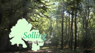 Der Solling  Waldgebiet des Jahres 2013 [upl. by Lashoh]