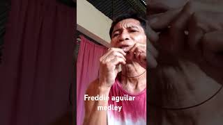 Freddie aguilar song cover [upl. by Thorrlow670]