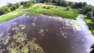 Aerial of the Lake Michigan Saugatuck Dunes [upl. by Nevuer]