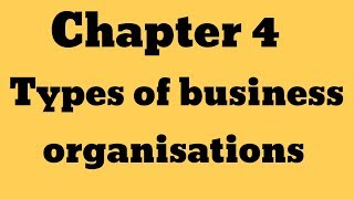 IGCSE Business Studies Chapter 4quot Types of business organisations quot [upl. by Retepnhoj]