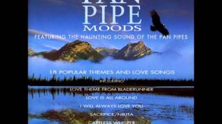 Pan Pipes Moods  18 Popular Themes and Love Songs [upl. by Ulane]