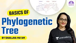 Basics of Phylogenetic Tree  CSIR Life Science by Shailjha Maam [upl. by Ymarej]