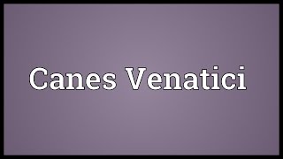 Canes Venatici Meaning [upl. by Aicenev]