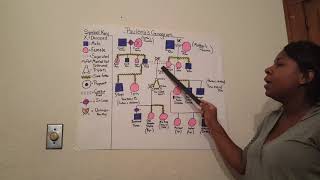 Paulenas Genogram [upl. by Zaid]