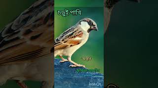 ছোটদের ছড়া বাংলা abritti kobita [upl. by Weber]