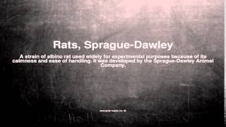 Medical vocabulary What does Rats SpragueDawley mean [upl. by Nosidam221]