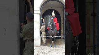 Soldier checks the Red button For emergency fyp kingsguard horseguard animals horse [upl. by Hobbs]