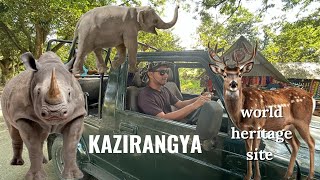 Kaziranga National Park 🏞️ [upl. by Avlasor]