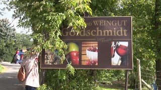 PUNKTum Obsthof Goldschmidt Beyernaumburg lud zu Federweißerfest [upl. by Trumann453]