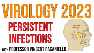 Virology Lectures 2023 17 Persistent infections [upl. by Nitsuga]