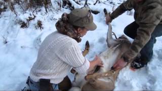 Mountain Woman Journals  How to Field Dress a Deer [upl. by Nollaf]