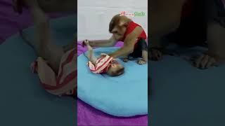 dodo wake newborn up cutenewborn lovelynewborn newbornmonkey clevermonkey [upl. by Kecaj]