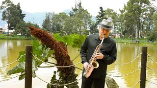 SAXOFONISTA AMBIENTAL JAIME GARCIA YO TAMBIEN TUVE 20 AÑOS [upl. by Llemar]