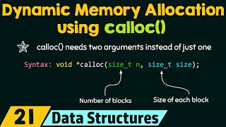 Dynamic Memory Allocation using calloc [upl. by Damalas343]