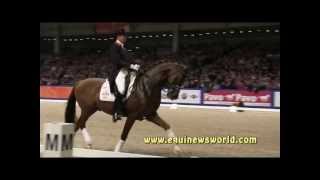 KWPN Stallion Vivaldi and Dutch rider Hans Peter Minderhoud [upl. by Gaye80]