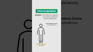 Thermoregulation homeostasis biologyrevision [upl. by Abdul]