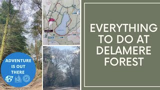 Delamere Forest  Walking  Cycling  Mountain biking  Go Ape  Picnics [upl. by Rice]