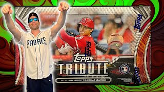 A GLORIOUS Barrage of HITS New 2023 MLB Baseball Cards [upl. by Kemeny331]