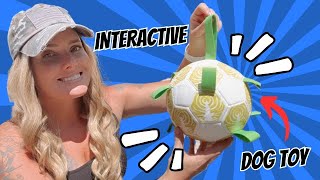 Fun and Interactive Dog Toys Soccer Ball with Straps [upl. by Lanie595]