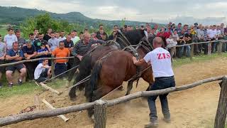 Straparijada SLATINA kod DJUKICA 06062021 Veliki ZIS srednja kategorija [upl. by Rosamond331]