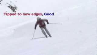 Ski Practice 2 Parallel edge changes Transitions and Releasing Harald Harb Ski Lessons [upl. by Dust]