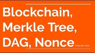 Blockchain Primer  Merkle Tree DAG Consensus Nonce [upl. by Masry]