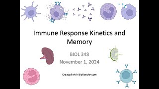 Immunology Fall 2024 Lecture 27 Kinetics and Memory [upl. by Ecnarret]