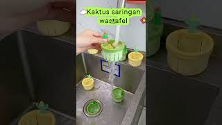 Kaktus saringan wastafel shortvideo shorts [upl. by Moulden247]