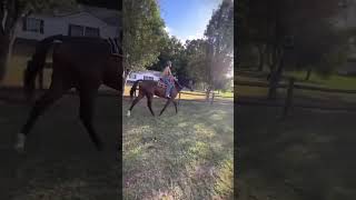 Trotted with him for the first time Anyone what the raw [upl. by Amos]