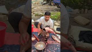 Amazing Big Katla Fish Super First Cutting fish fishcutting fishcuttingskills youtubeshorts [upl. by Roy969]