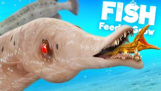 Playing as NEW Trumpet Fish  Feed amp Grow Fish [upl. by Laehcim]