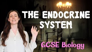 THE ENDOCRINE SYSTEM GCSE Biology 91  Combined Sci Revision amp Qs [upl. by Hester674]