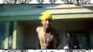 Tyga  Tatted Like A Cholo Official Video HQ [upl. by Eseuqram]