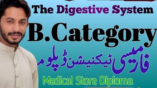 The Digestive System and its composition in category B pharmacy technician 1 year [upl. by Ahsik]