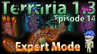 Terraria 13 Expert Mode  Episode 14  Trolls And Douchebags [upl. by Hadwyn]