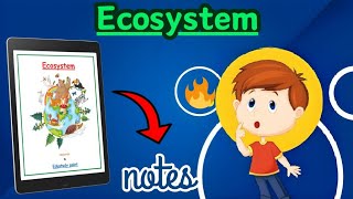 Ecosystem Class 12th Biology chapter 14 Best NOTES  Edustudypoint [upl. by Mauve]