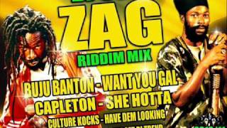 DJ SCA ZIG RIDDIM MIX ed by DJ SCA 2011  Hot Jamaica Riddim Mix by Dj SCA [upl. by Oidgime]