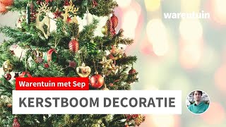 Hoe versier ik mijn kerstboom [upl. by Adnol248]