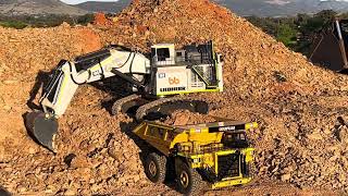 Liebherr RC 9800 excavator with Cat 793 Dump truck First Dig Mining [upl. by Airdni]