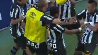 ROBINHO  GOAL SANTOS X SÃO PAULO 07022010 [upl. by Severen]