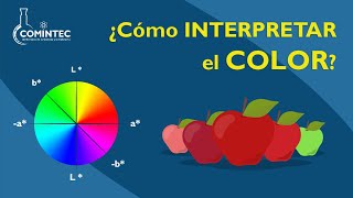 ¿Cómo INTERPRETAR el COLOR [upl. by Illah935]