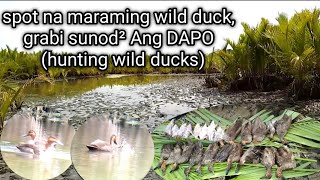 Hunting wildduck sa subrang damimalapit na ma break Ang record ni kulaki hunter [upl. by Novahc7]