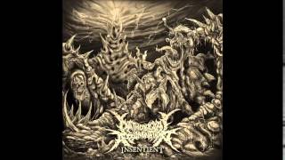 Pathological Abomination – Insentient Full Album 2014 [upl. by Evadnee]