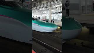 Why Japan Has the Worlds Best Trains My Love for the Shinkansen [upl. by Cory]