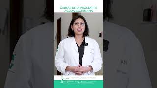 ¿Cuáles son las Causas de la Prostatitis Aguda Bacteriana [upl. by Neelrad]